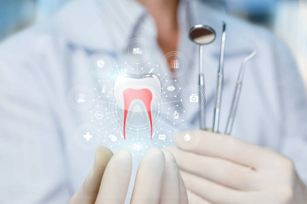 Our Range of Dental Services in Macom, IL